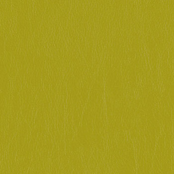Mayer Caressa Lime