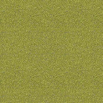 伯奇忽悠梨
