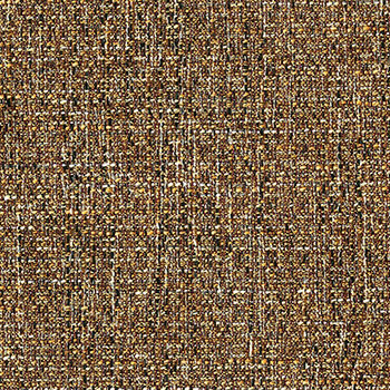 康普纳利鹰