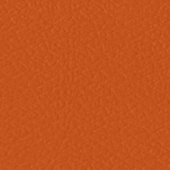 爱国者爱国者+ Neo Orange Kist