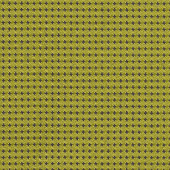 动量世博新芽